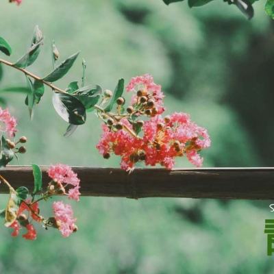 少年骇客太空滑板